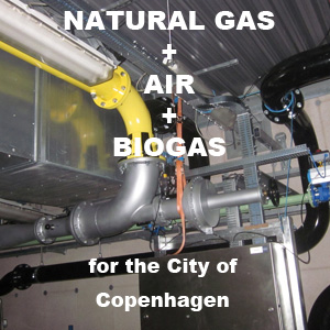 natural gas, air, biogas